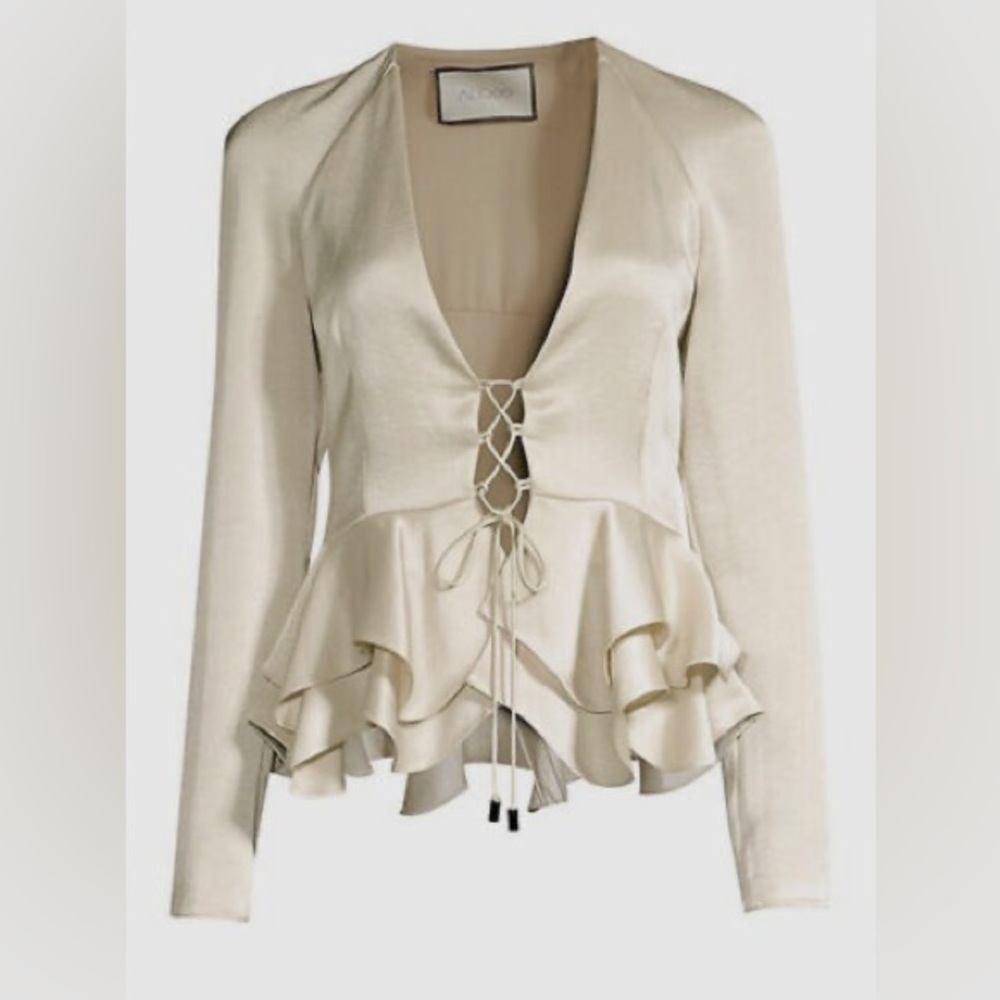 Alexis silver silk lace up top